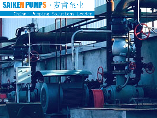 Asphalt Gear Pump 