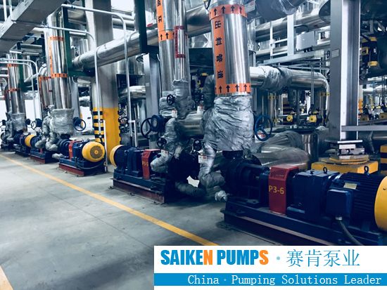 NYP Stainless Steel Internal Gear Pump