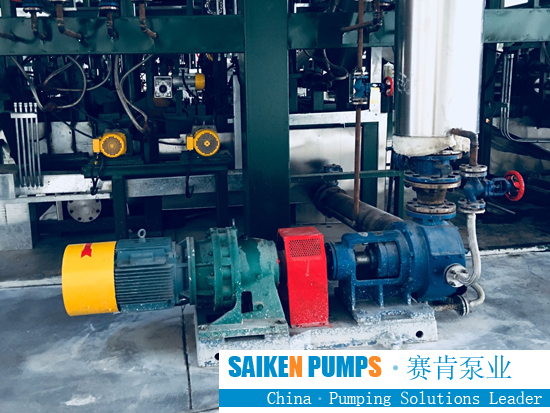 Stainless Steel Internal Gear Pump