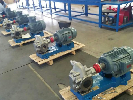 stainless steel gear pump